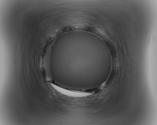 X0000086221298200704121850