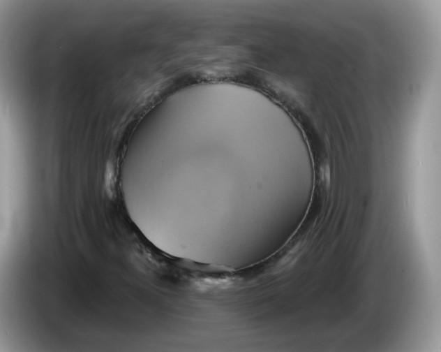 X0000086221300200704121850