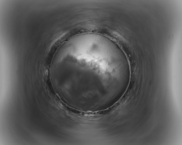 X0000086221302200704121850