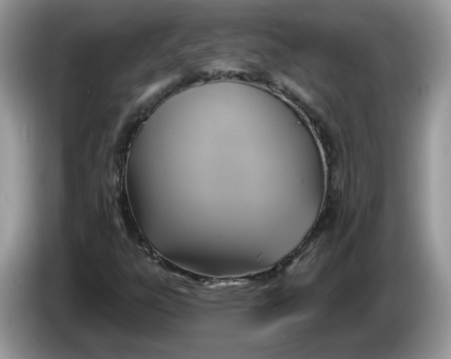 X0000086221303200704121850