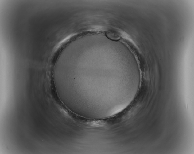 X0000086221304200704121850