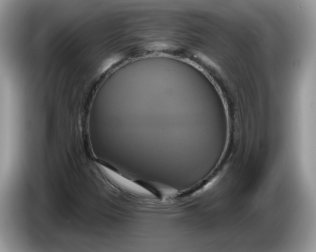 X0000086221305200704121850