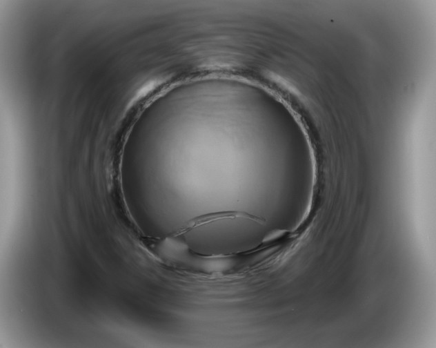 X0000086221306200704121850