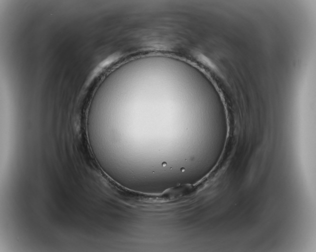 X0000086221307200704121850