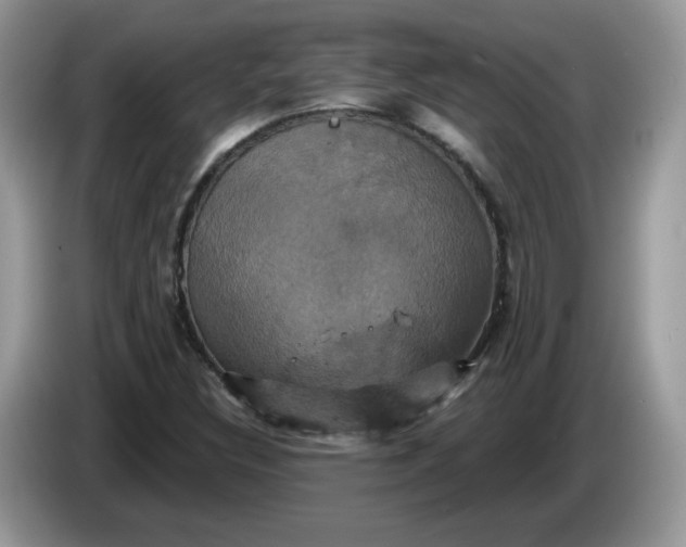 X0000086221308200704121850