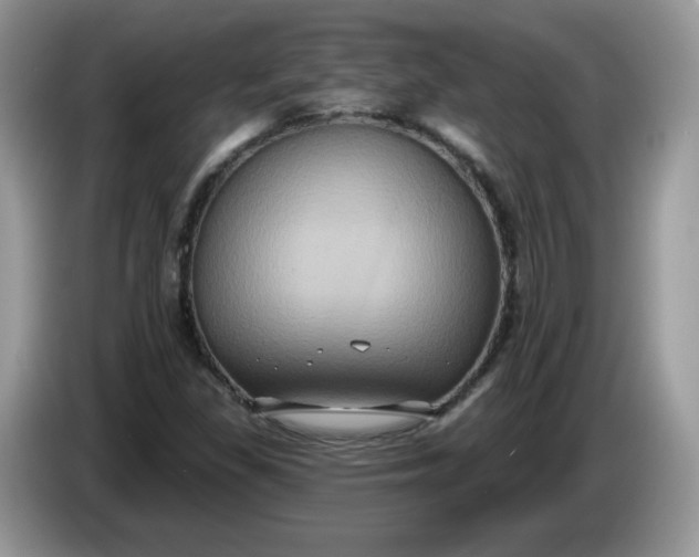 X0000086221309200704121850