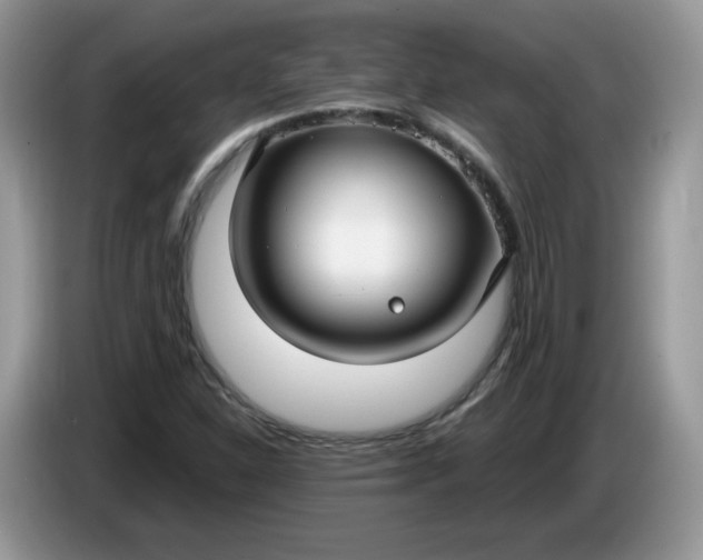 X0000086221310200704121850