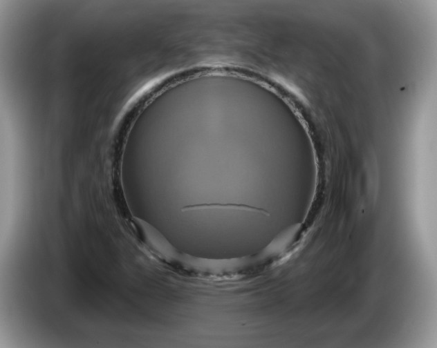 X0000086221311200704121850