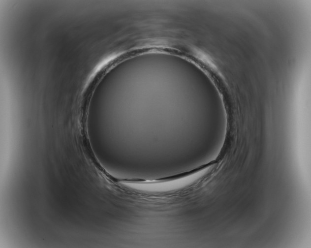 X0000086221312200704121850