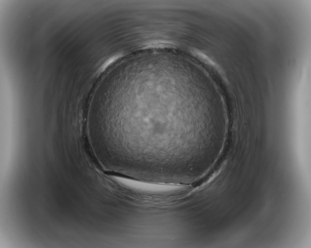 X0000086221313200704121850