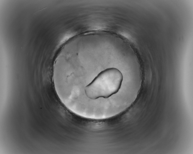 X0000086221314200704121850