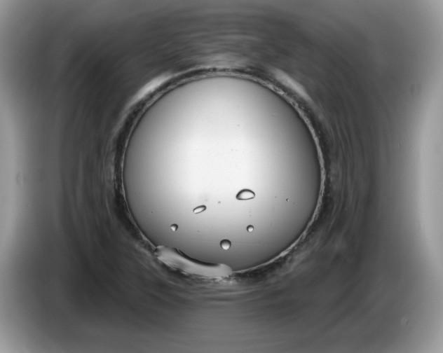 X0000086221315200704121850