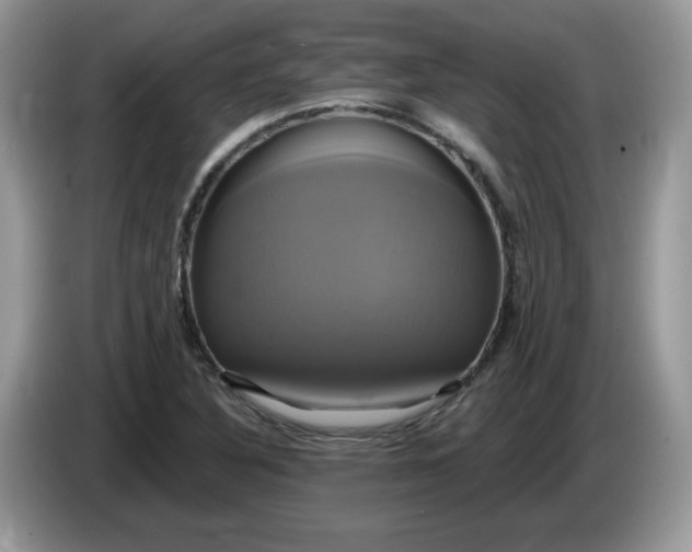 X0000086221316200704121850