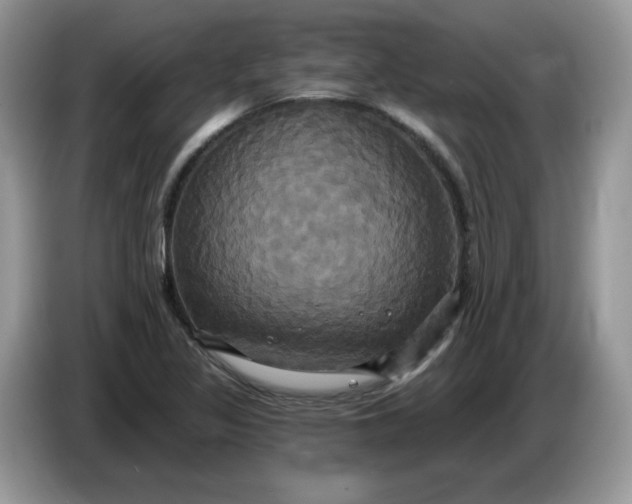 X0000086221317200704121850