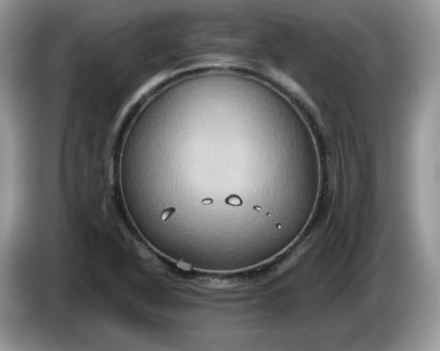 X0000086221318200704121850