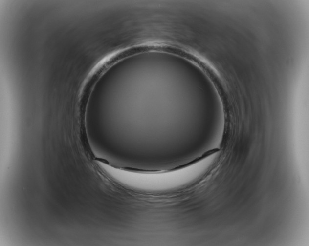 X0000086221319200704121850