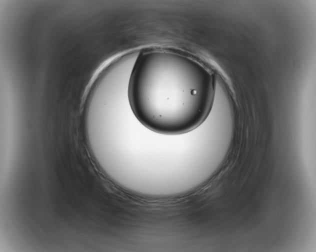 X0000086221320200704121850