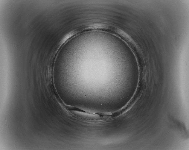 X0000086221321200704121850