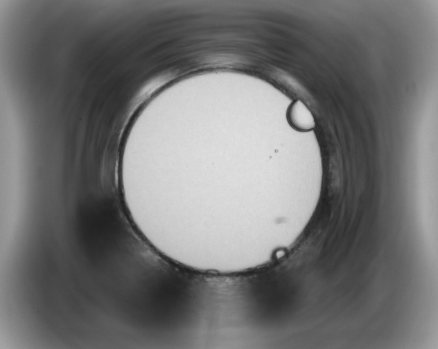 X0000086221322200704121850