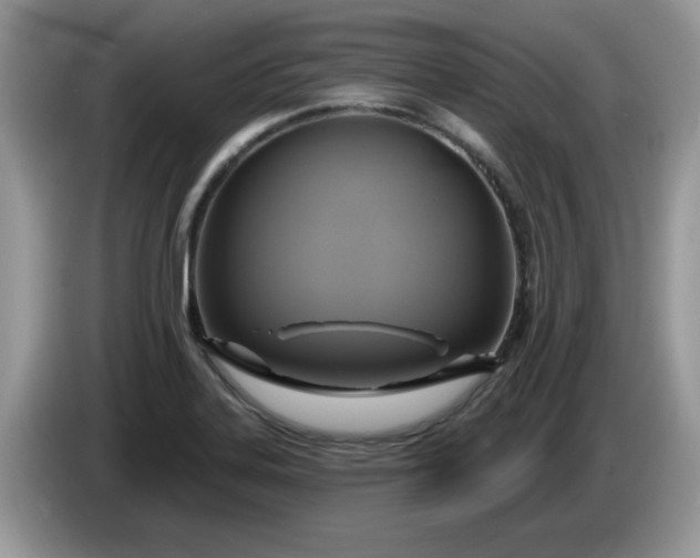 X0000086221323200704121850