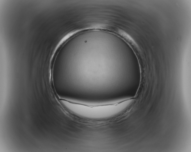 X0000086221324200704121850