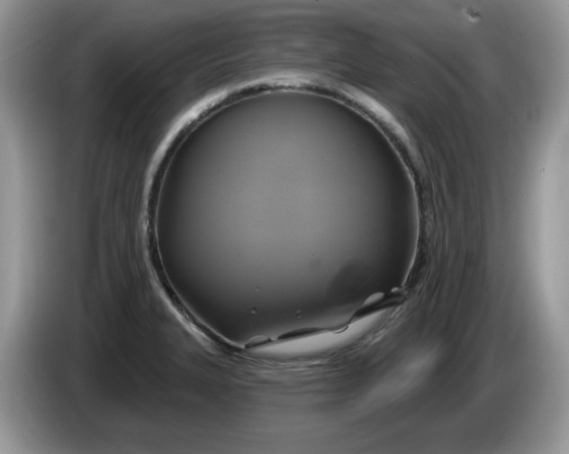 X0000086221327200704121850