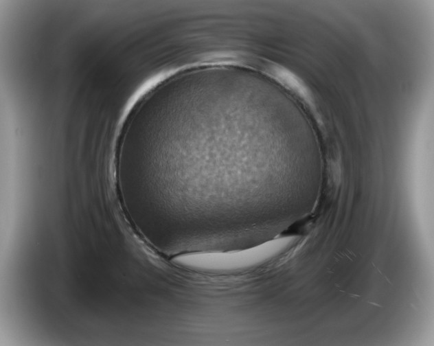 X0000086221328200704121850