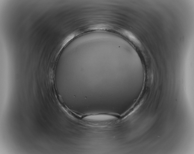 X0000086221329200704121850