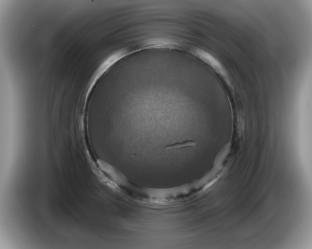 X0000086221330200704121850