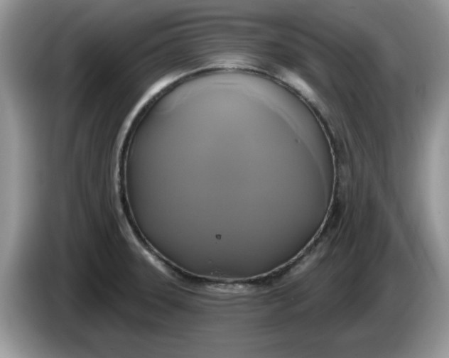 X0000086221331200704121850