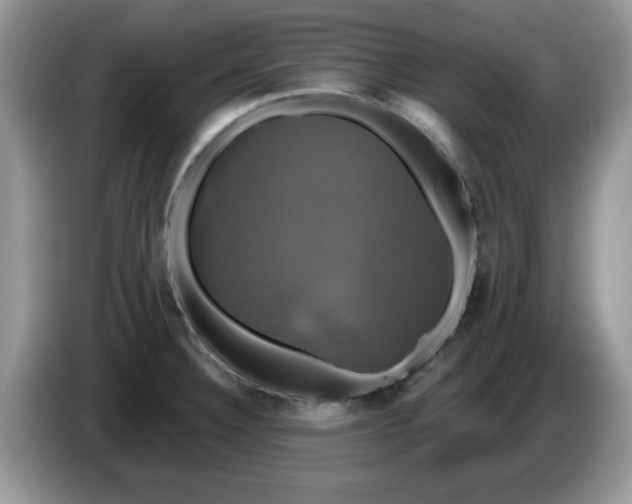 X0000086221332200704121850