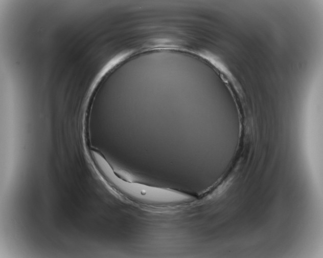 X0000086221333200704121850