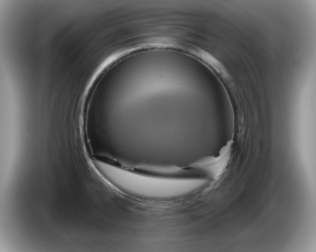 X0000086221334200704121850