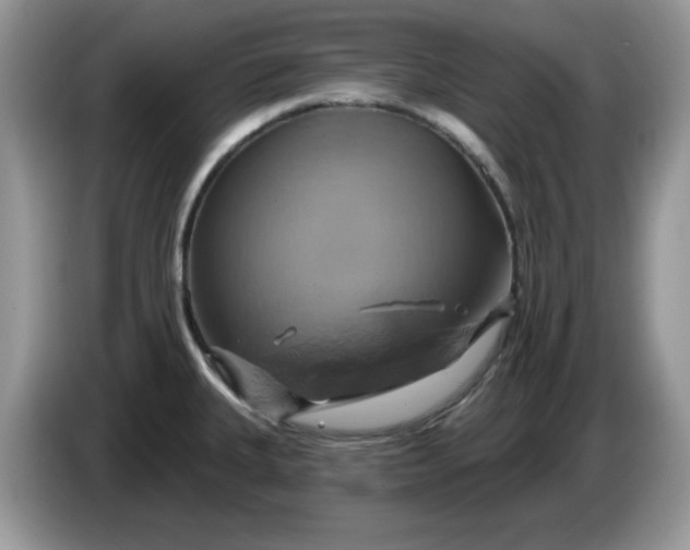 X0000086221335200704121850