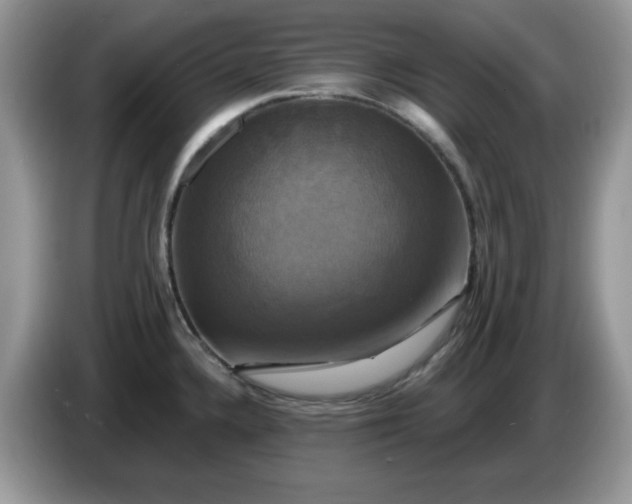 X0000086221336200704121850