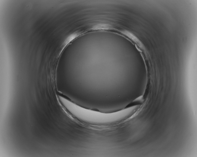 X0000086221337200704121850