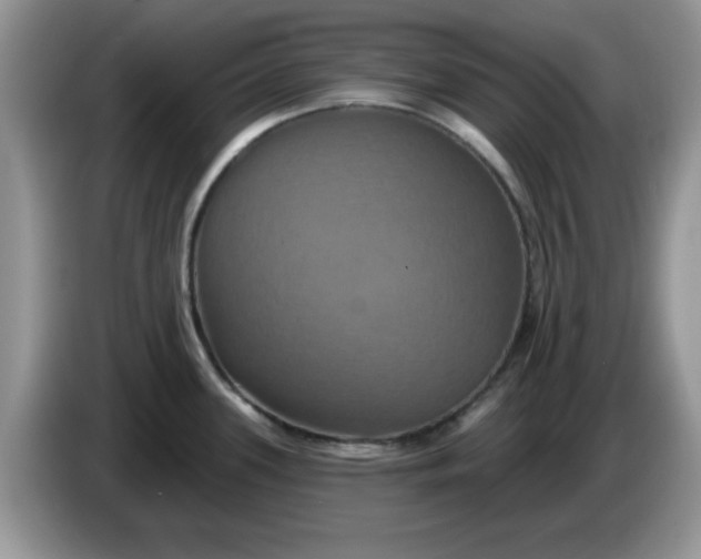 X0000086221339200704121850