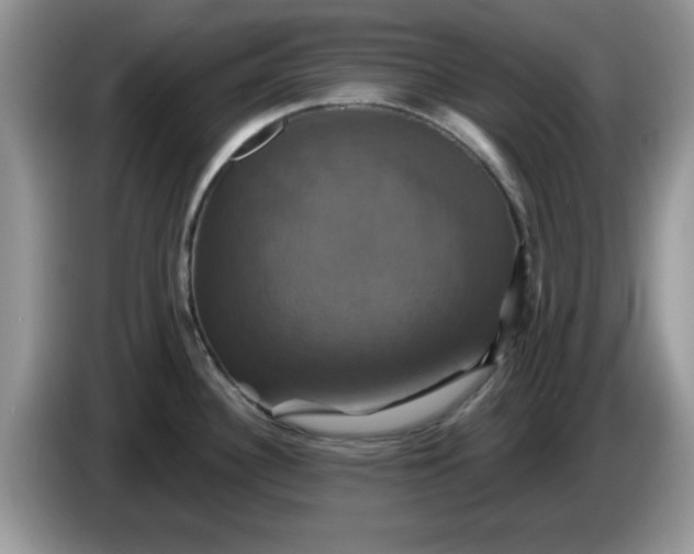 X0000086221340200704121850