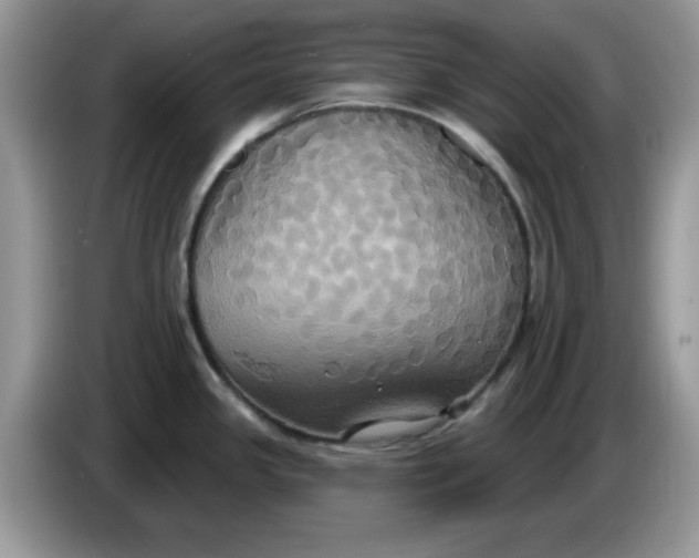 X0000086221341200704121850