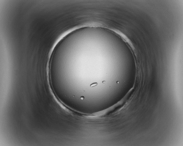 X0000086221343200704121850