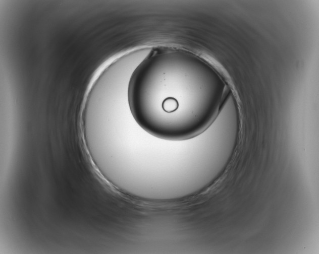 X0000086221344200704121850