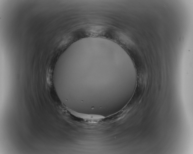 X0000086221346200704121850