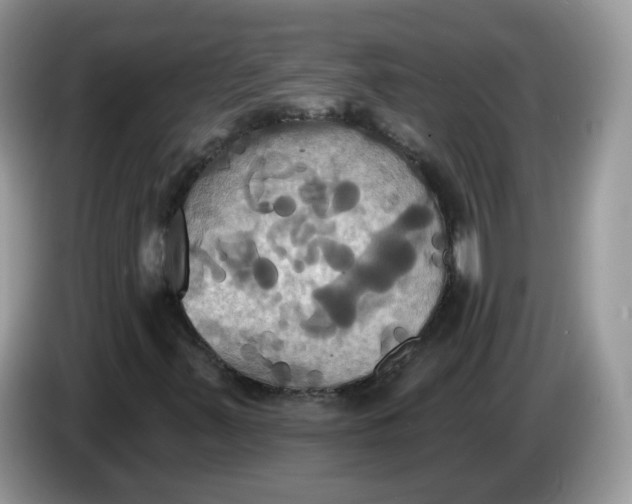 X0000086221347200704121850
