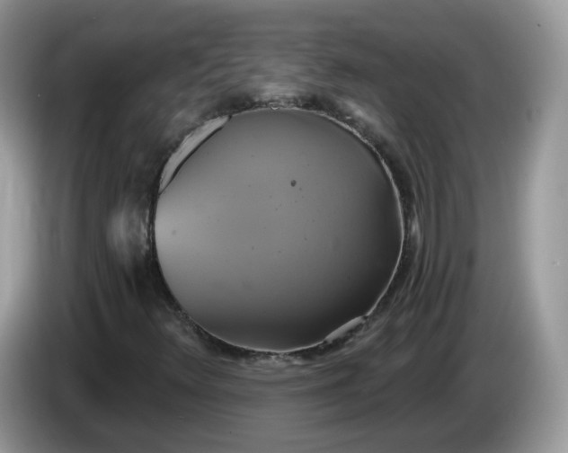 X0000086221348200704121850