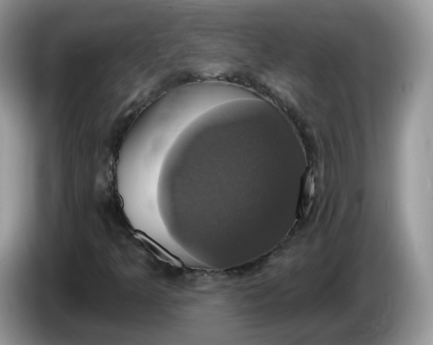 X0000086221349200704121850