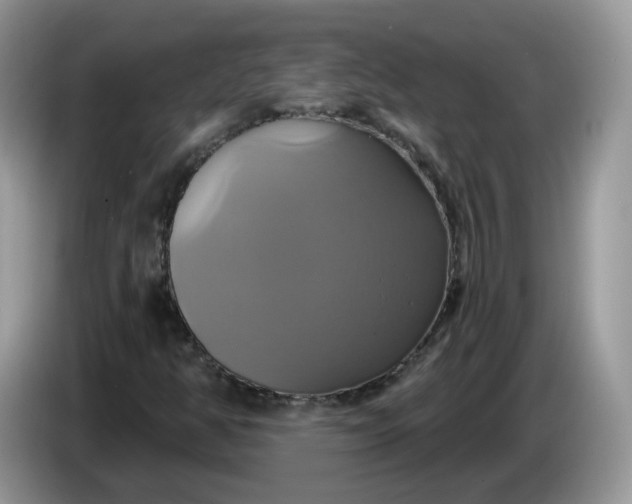 X0000086221350200704121850