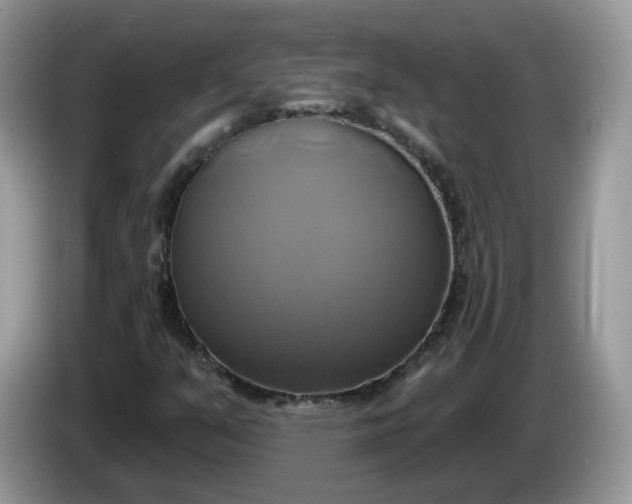 X0000086221351200704121850