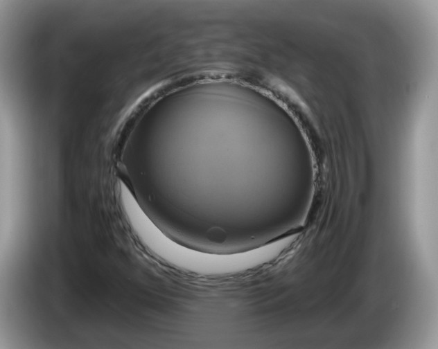 X0000086221352200704121849