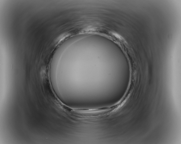 X0000086221353200704121849