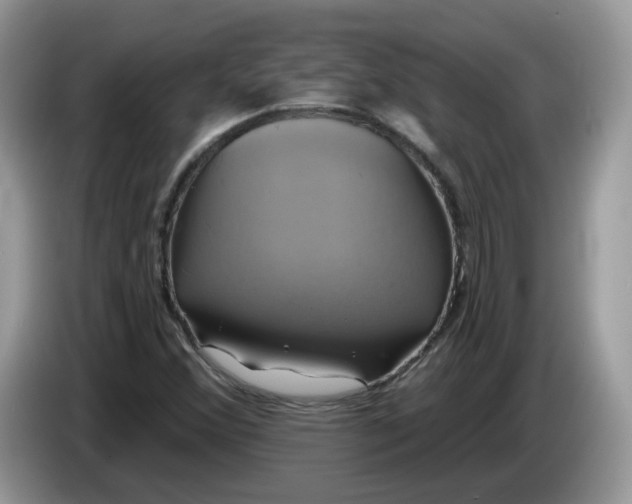 X0000086221356200704121849